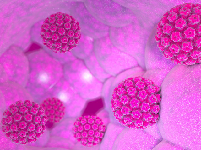imagen microscopica virus del papiloma humano